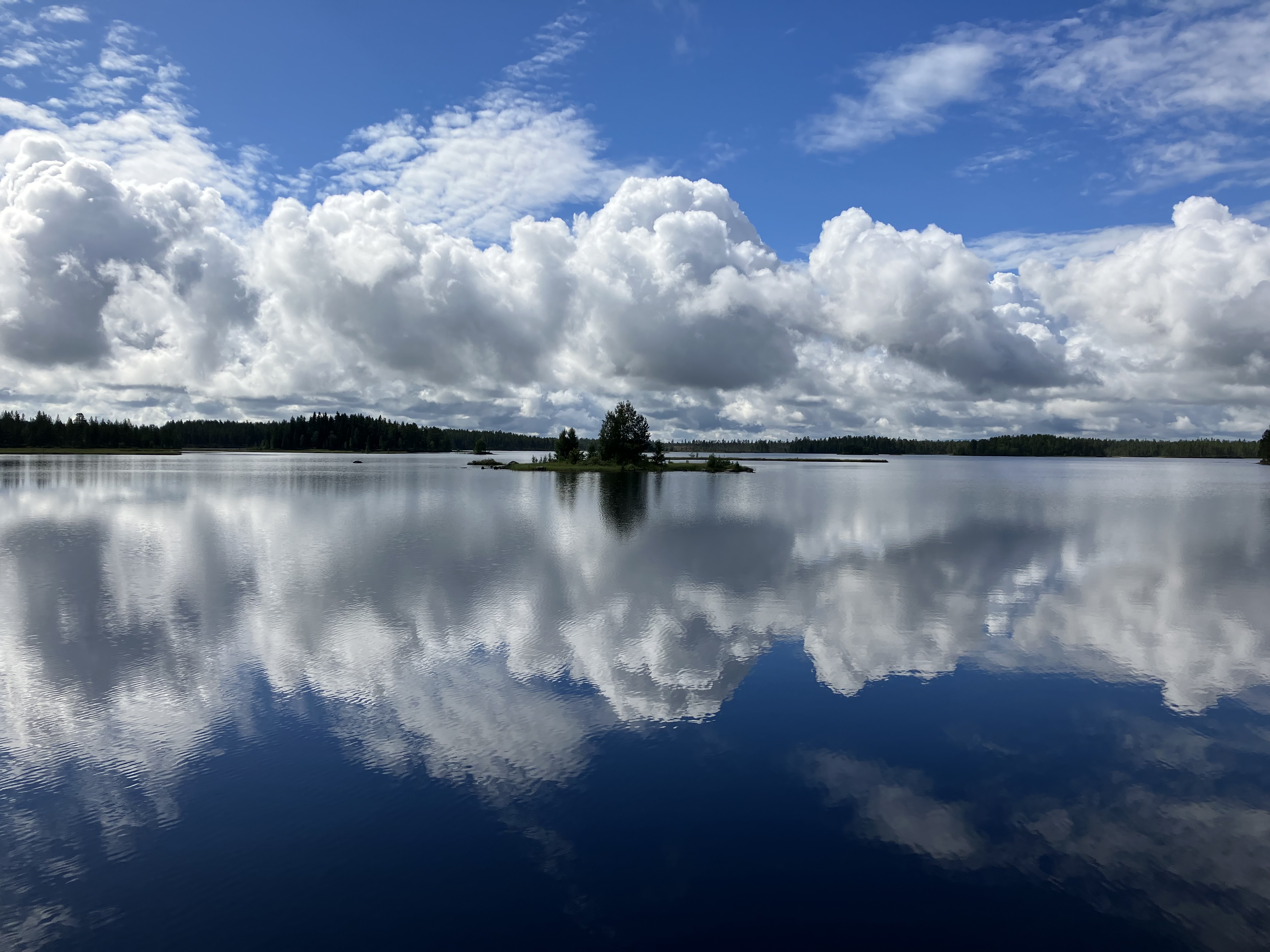 Simmetrie naturali in una giornata d’estate svedese  di SilviaCo