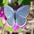 Spring azure