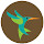 Hummingbird Wallpapers Hummingbirds New Tab