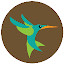Hummingbird Wallpapers Hummingbirds New Tab