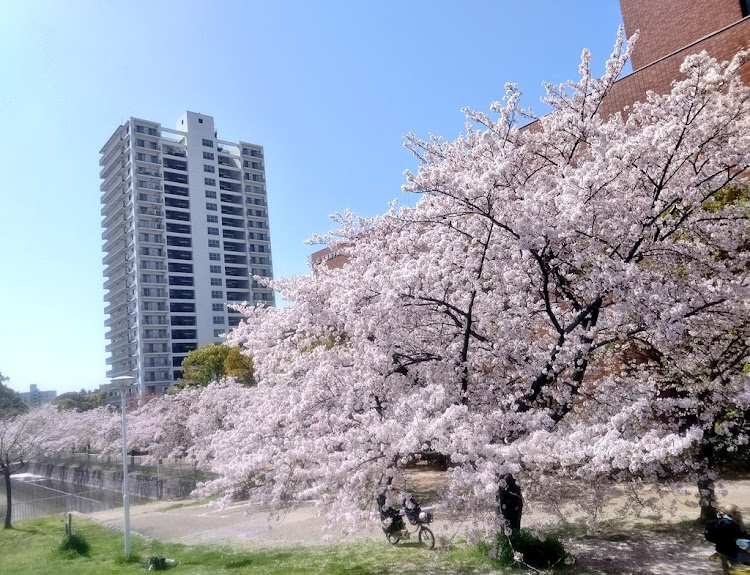 の投稿画像1枚目