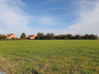 maison neuve à Crochte (59)