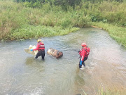 SAPS Search and Rescue teams retreive a body from the Umgeni River PICTURE: SUPPLIED