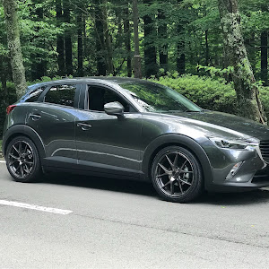 CX-3 DKEFW