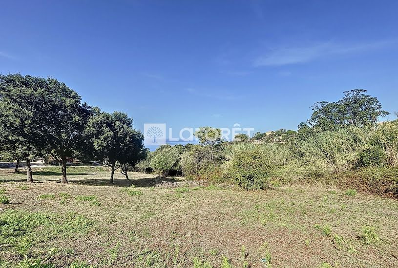  Vente Terrain à bâtir - 1 750m² à Coti-Chiavari (20138) 