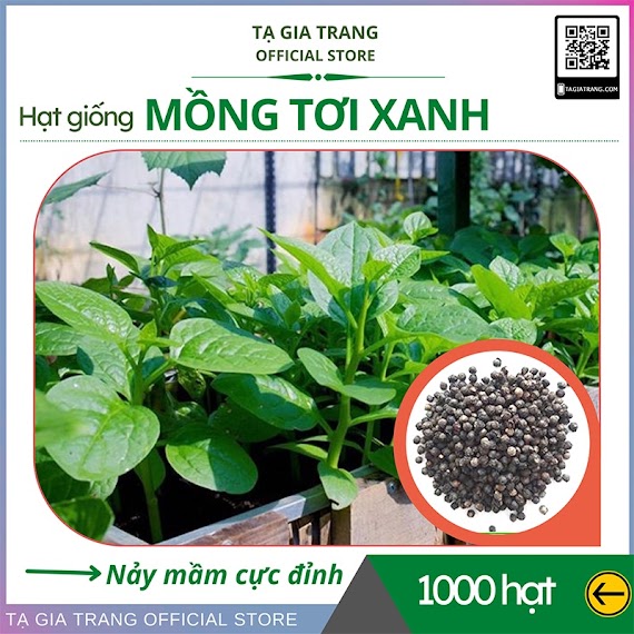 Hạt Giống Rau Mồng Tơi Xanh (Mùng Tơi) - Shop Hạt Giống Tạ Gia Trang | Gói 20G