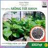 Hạt Giống Rau Mồng Tơi Xanh (Mùng Tơi) - Shop Hạt Giống Tạ Gia Trang | Gói 20G