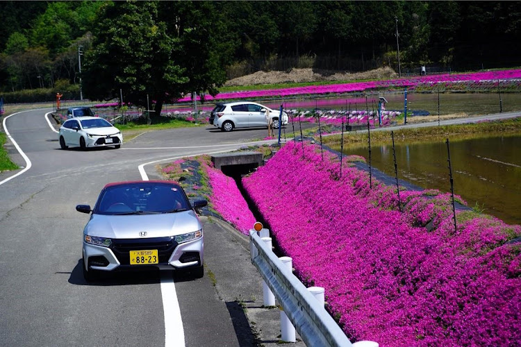 S660の僕が車を停める場所・芝桜に関するカスタム事例の投稿画像11枚目