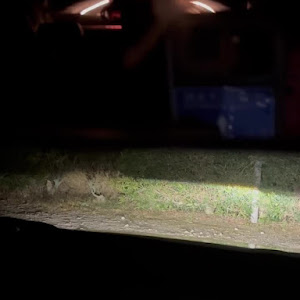 カローラスポーツ NRE210H