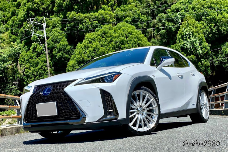 UXのエスペリアスーパーダウンサス・エスペリアバンプラバー・FICのワイトレ・嫁の車は遊び物・庶民の楽しみに関するカスタム事例の投稿画像1枚目