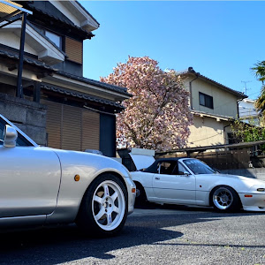 ロードスター NB6C