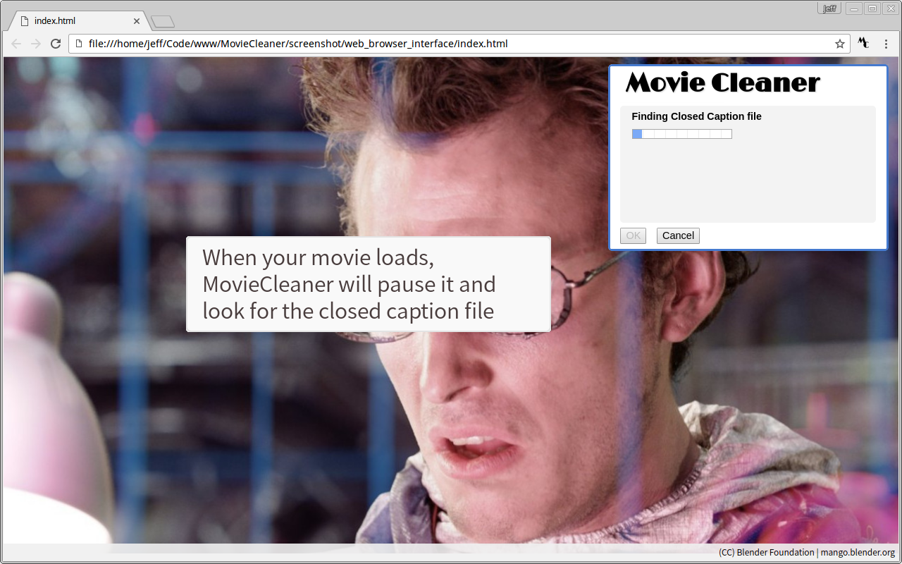 MovieCleaner Preview image 5