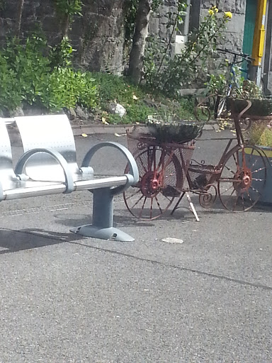 Bicycle Art Tullamore