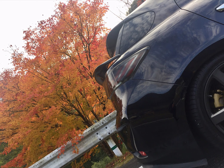 CTのレクサスct200h・WDW・紅葉探し🍁・ゆうやけコラボに関するカスタム事例の投稿画像6枚目