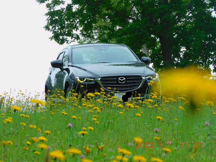 CX-3のMT AWD・MAZDA・免疫力は食生活・北海道ドライブに関するカスタム事例の投稿画像5枚目