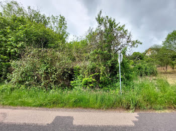 terrain à Nayemont-les-Fosses (88)