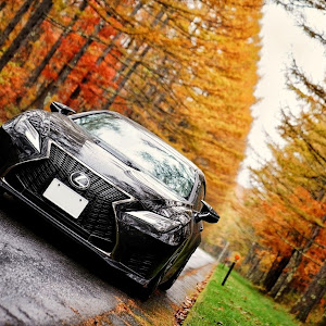 RC F USC10