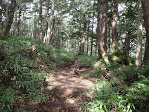 登山道が泥濘む（八丁ダルミ）