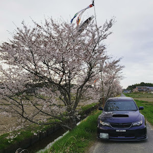 インプレッサ WRX STI GVF