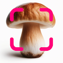 Mushroomizer