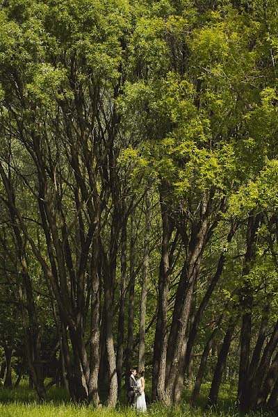 Photographe de mariage Roman Sokolov (sokrom). Photo du 5 juillet 2013