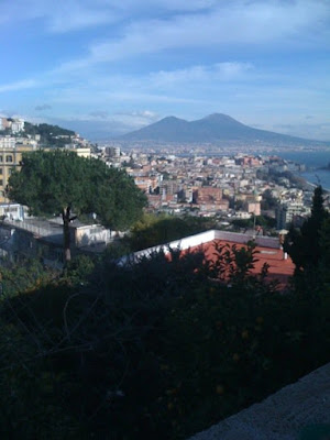 Panorama di napoli di virginia483