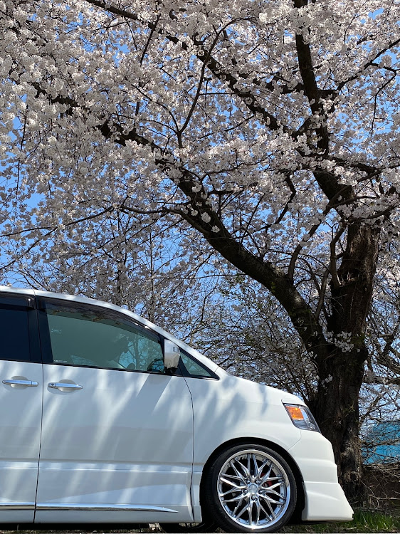 ノアのサクラと愛車・ドライブに関するカスタム事例の投稿画像3枚目