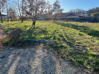 maison neuve à Montaigut-sur-Save (31)