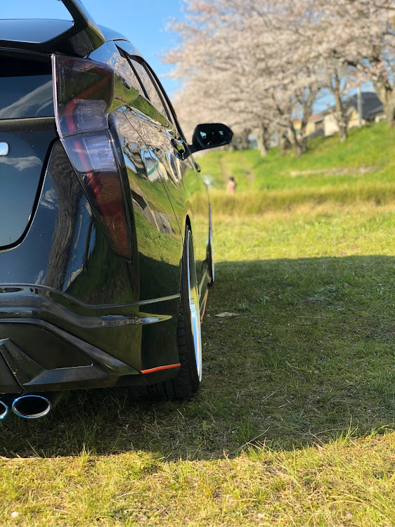 プリウスの桜と愛車・ホイール交換に関するカスタム事例の投稿画像1枚目