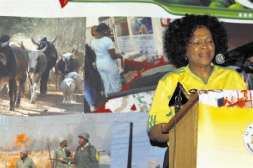 Urgent meeting: Gauteng Premier Nomvula Mokonyane at the farm workers' Summit in Turfontein, Johannesburg. Pic. MOHAU MOFOKENG. 24/04/2010. © Sowetan. 24 APRIL 2010 MMO -- Premeir of Gauteng Nomvula Mokonyane at the farm workers Summit at Turfontein , Johannesburg. PHOTO MOHAU MOFOKENG