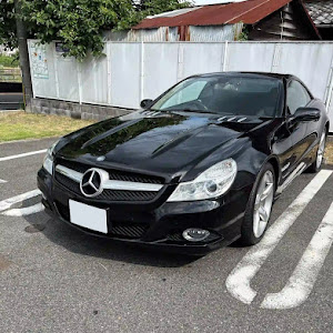 SL R230