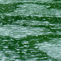 Acqua nell'acqua di 