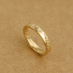 J1065 Erosion Ring