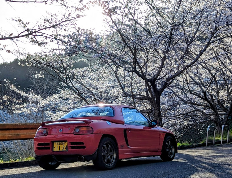 ビートの桜を求めて・弥栄ダム・徘徊に関するカスタム事例の投稿画像9枚目