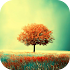 Awesome-Land Live wallpaper HD : Grow more trees3.3.8