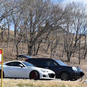 BRZ ZC6