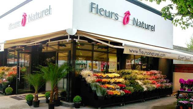Fleurs O Naturel