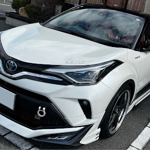 C-HR ZYX11