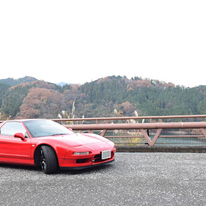 NSX NA1