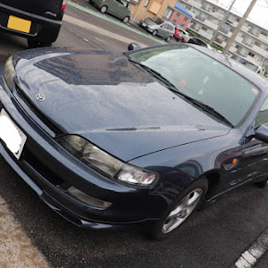 カレン ST206