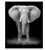 Title 5, Kit de Pintura Digital DIY Elefante Africano Pi...