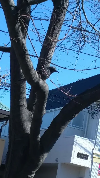 「リア充 ～学校編～【一日目】①」のメインビジュアル