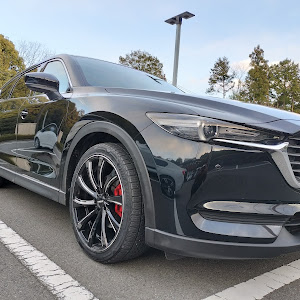 CX-8 KG2P