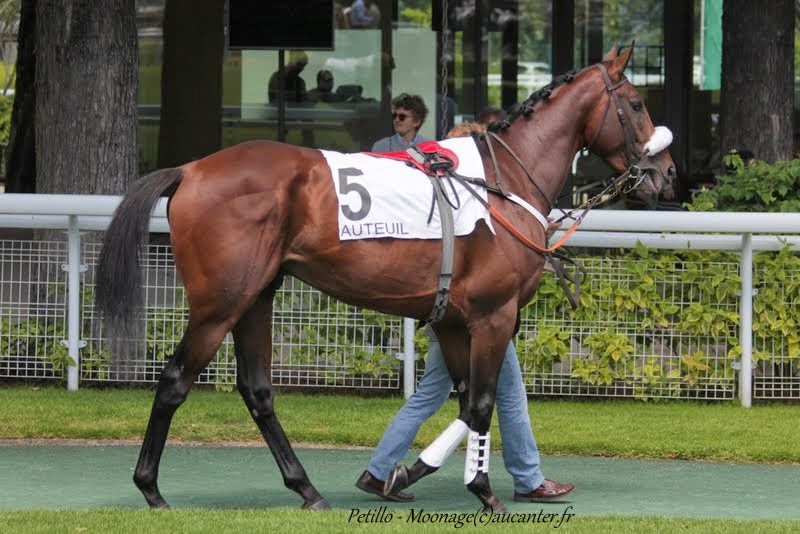 Photos Auteuil 22-05-2015 1acnzoSJZztgQ7AkH6fs08KecdWtS2jaID3stLeEDR6B=w800-h534-no