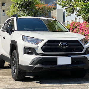 RAV4 MXAA54