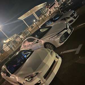 86 ZN6