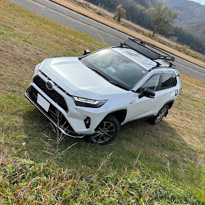 RAV4 AXAP54