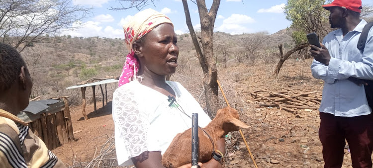 A woman holds her single remaining goat kid after bandits drove away 341 goats in Ngaratuko, Baringo North, on Tuesday.