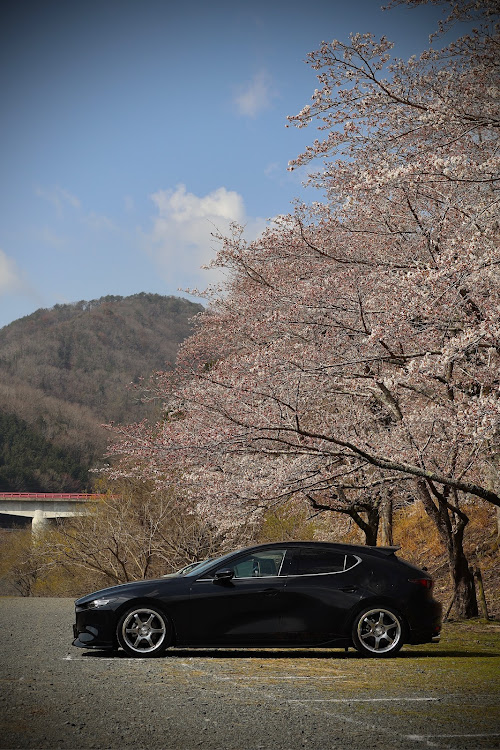 MAZDA3の桜に関するカスタム事例の投稿画像1枚目