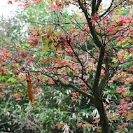 台北奧萬大樂活莊園